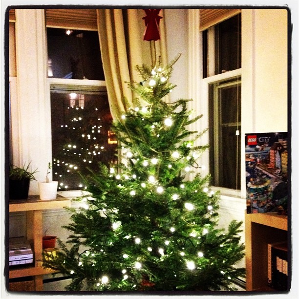 Lights on the tree, ornaments inc.