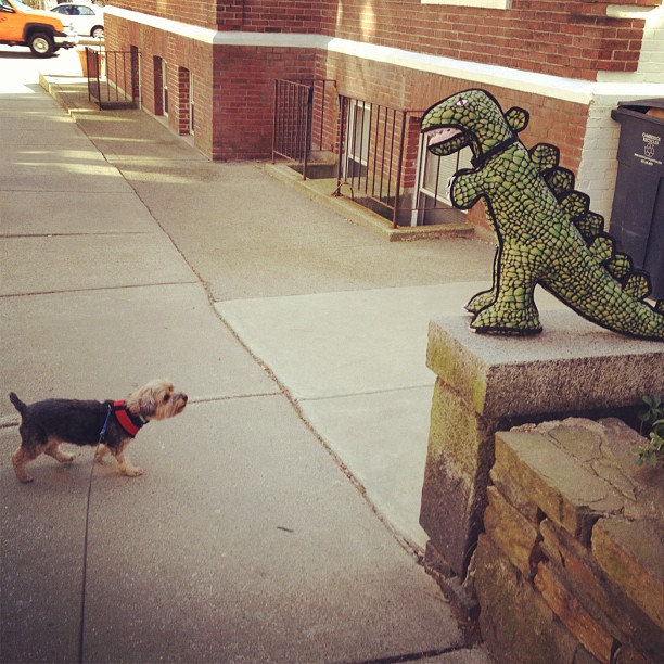 On our walk this morning, @DarcyFish encountered a #dinosaur.