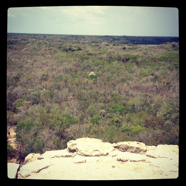 The view from the big pyramid at Coba.
