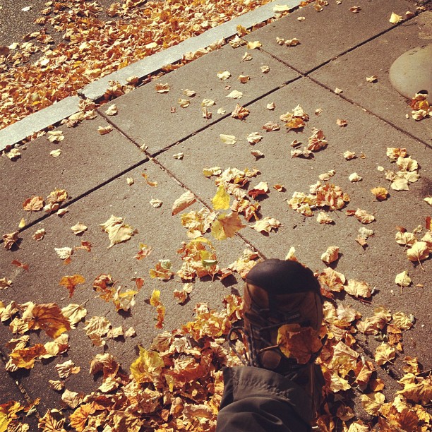 I did not frolic in the #leaves at work. That would be ridiculous.