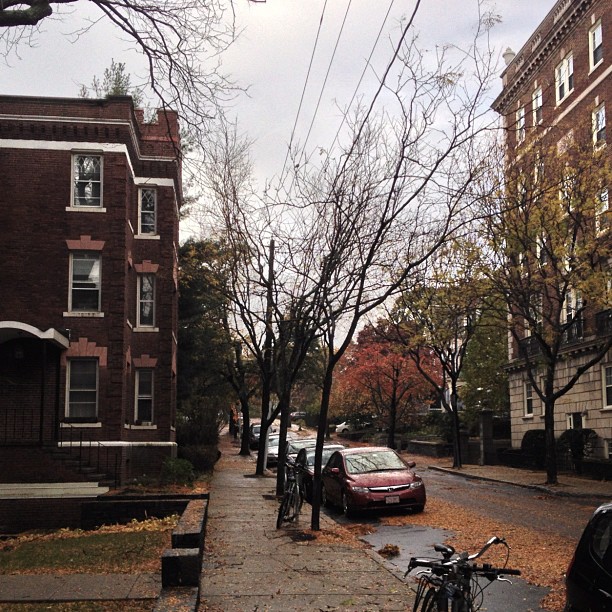 Our street, mostly denuded by #Sandy